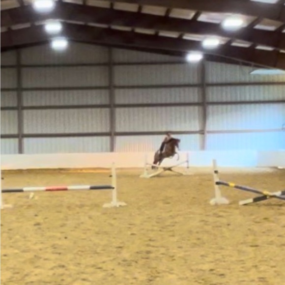 Meet your Posher, Lindsey - Picture 1 of 7